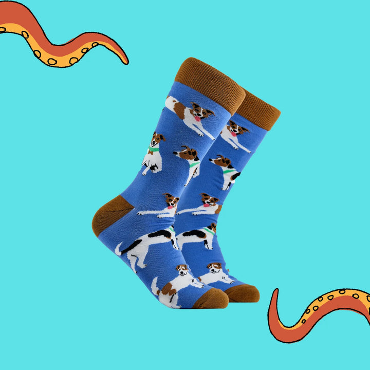 Jack Russel Terrier Socks