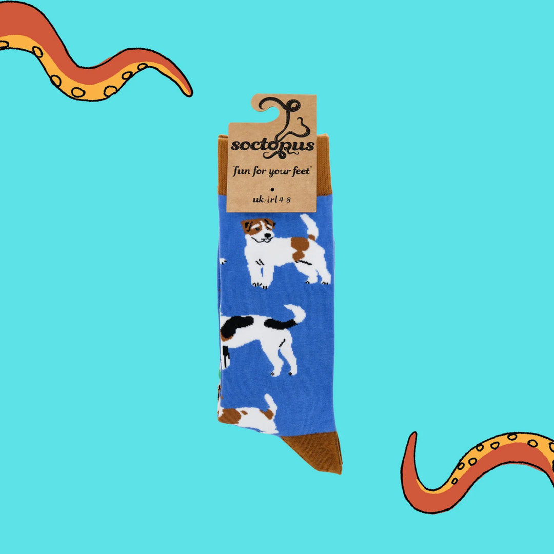 Jack Russel Terrier Socks