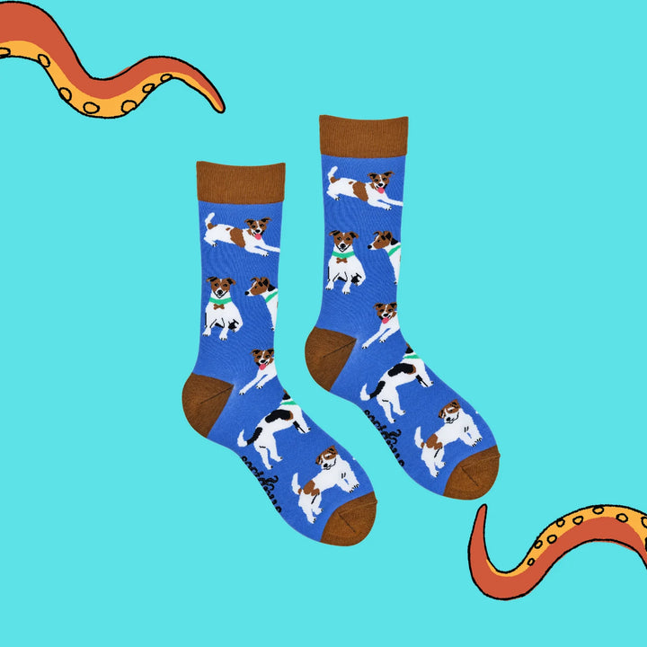 Jack Russel Terrier Socks