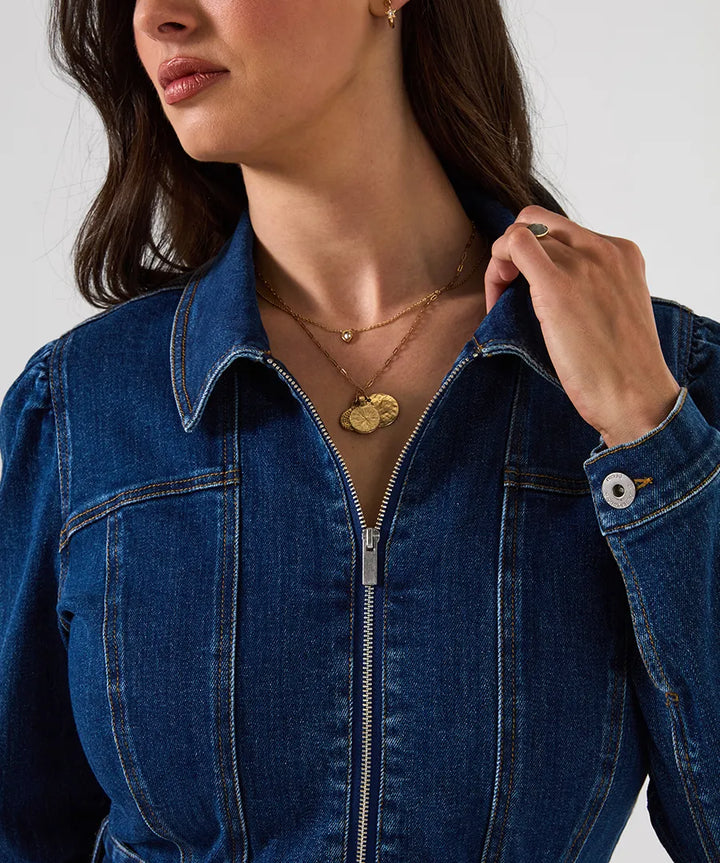 Scarlett Zip Front Denim Dress