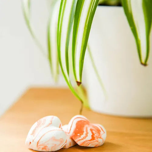 Emotif Fragrant Fresheners - Zesty Citrus Scented